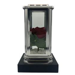 Rose Eternelle Rouge